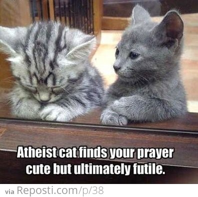 Atheist Cat