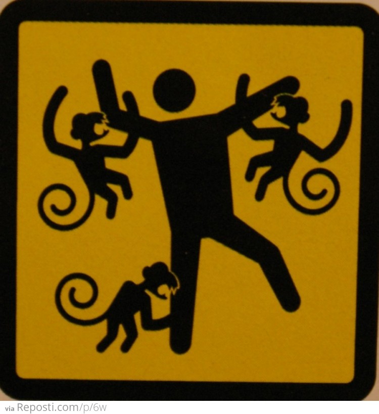 Killer Monkey Warning