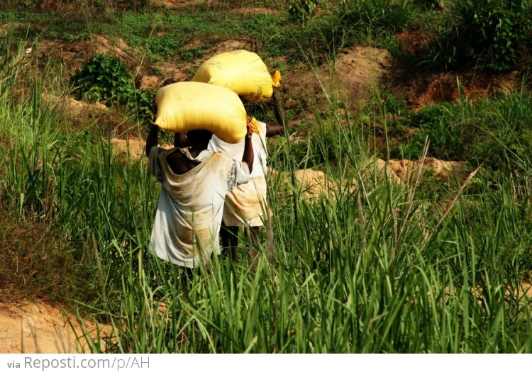 Diamond Mining in Sierra Leone