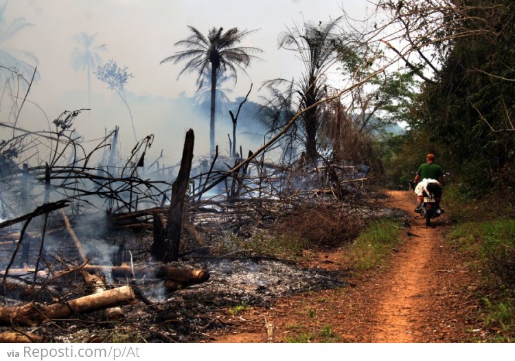 Diamond Mining in Sierra Leone