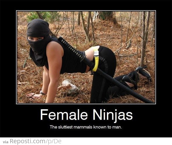 Female Ninjas