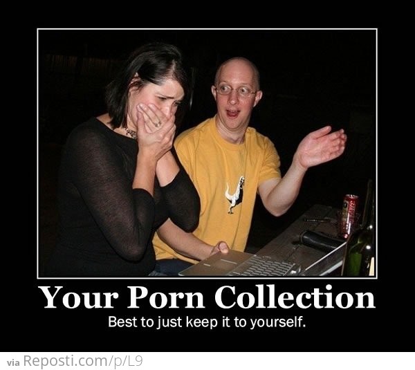 Your Porn Collection