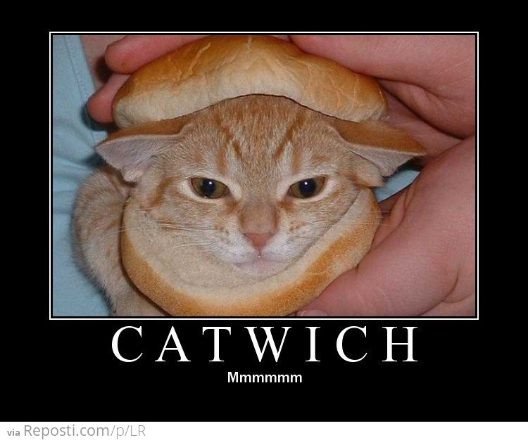 Catwich