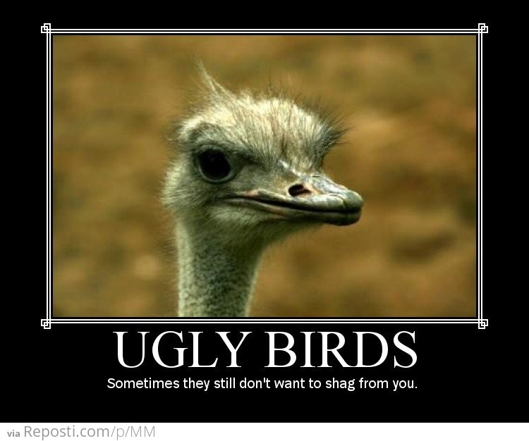 Ugly Birds