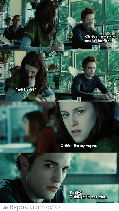 Twilight Explained In Four Frames