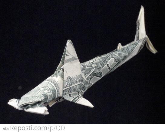 One Dollar Hammer head Shark