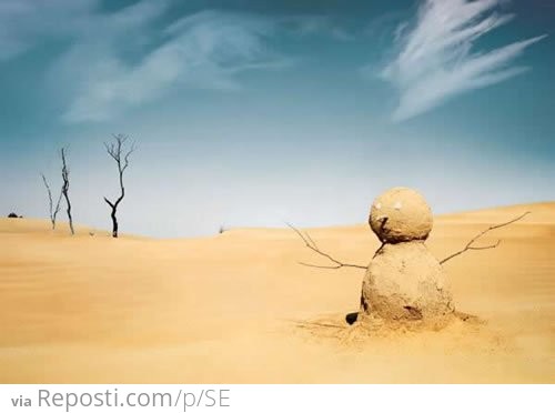 Desert Snowman