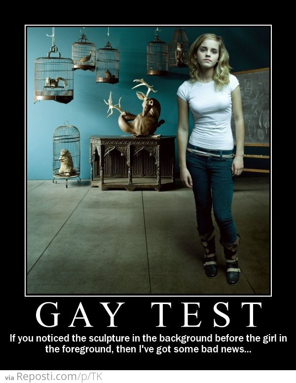 Gay Test