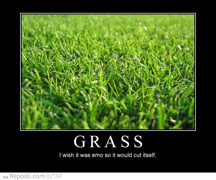 Funny, Meme, Demotivational, Grass, Cut, Hurt, Lawn, Emo, Cutting.