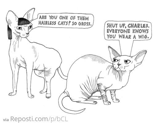 Hairless Cats