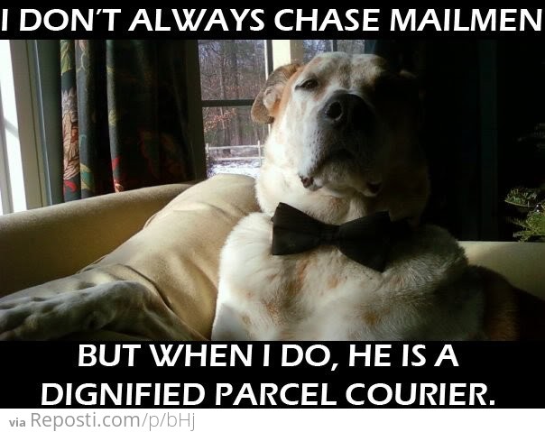 I Don't Always Chase Mailmen