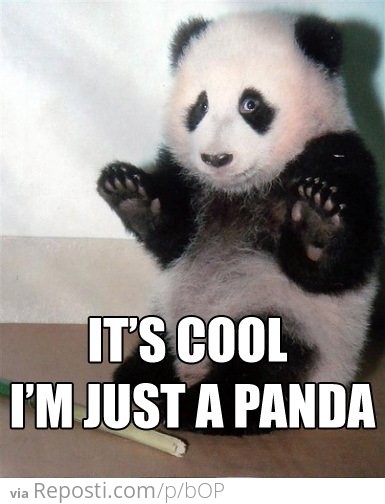 I'm just a panda