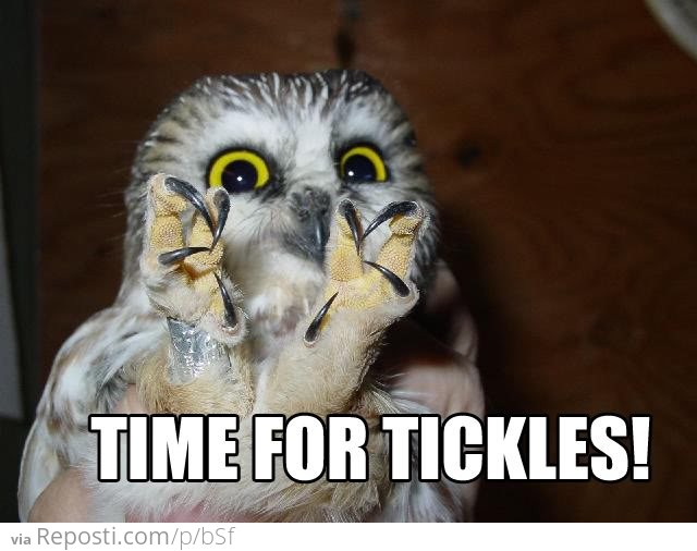 Time For Tickles!