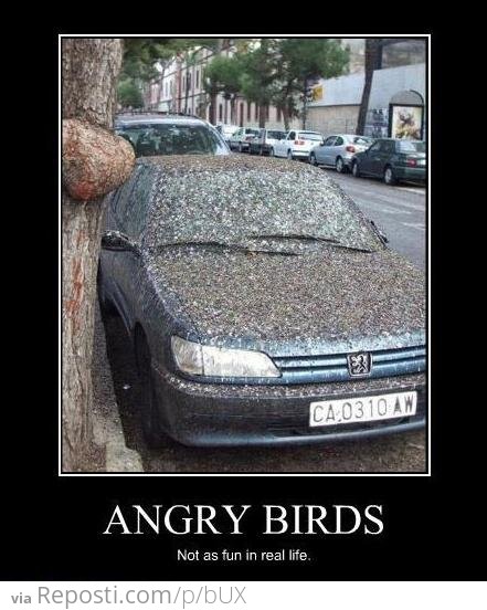 Angry Birds