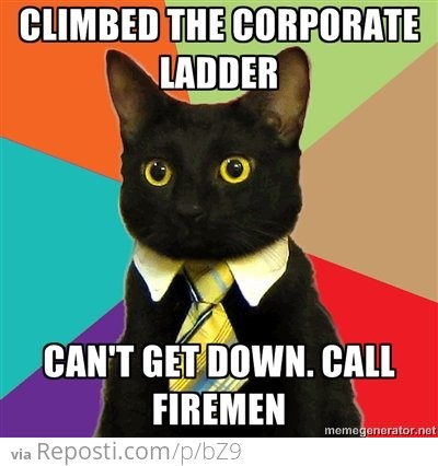 Climbed the corporate ladder