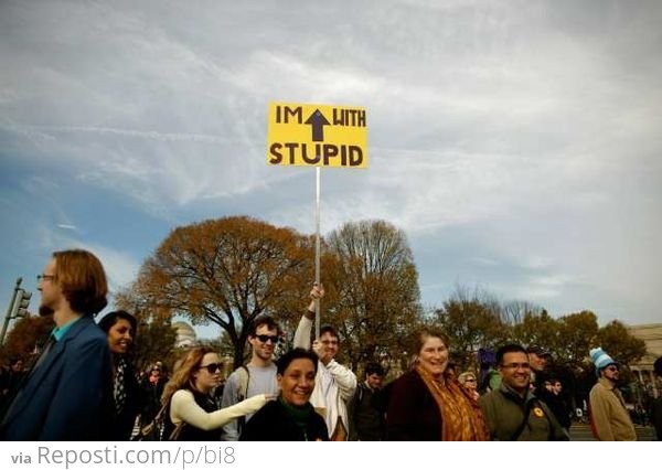 I'm With Stupid