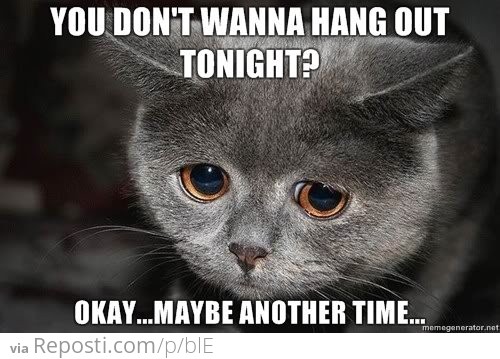 Don't Wanna Hang Out?