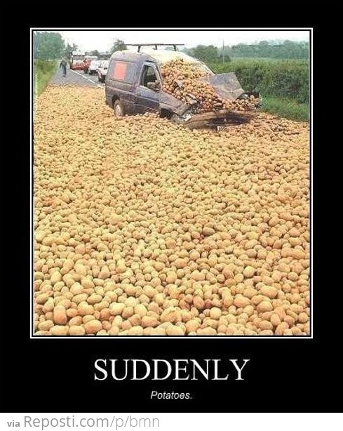 Suddenly Potatoes