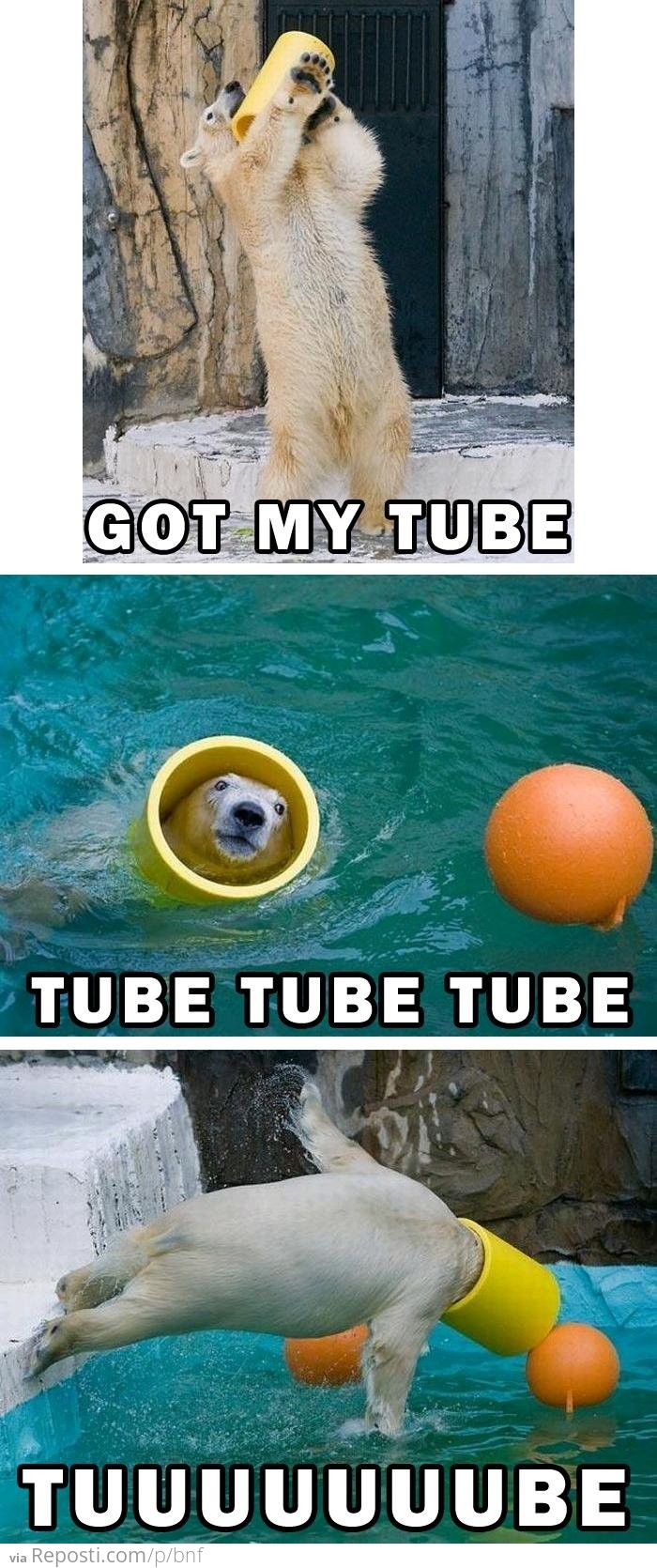 Polar Bear Tube