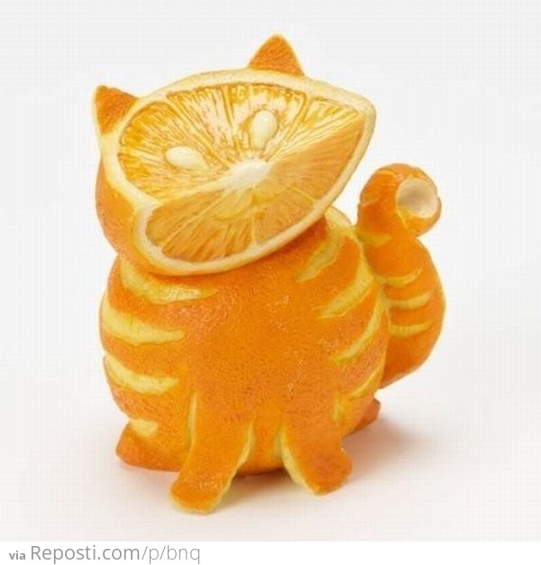 Orange Cat