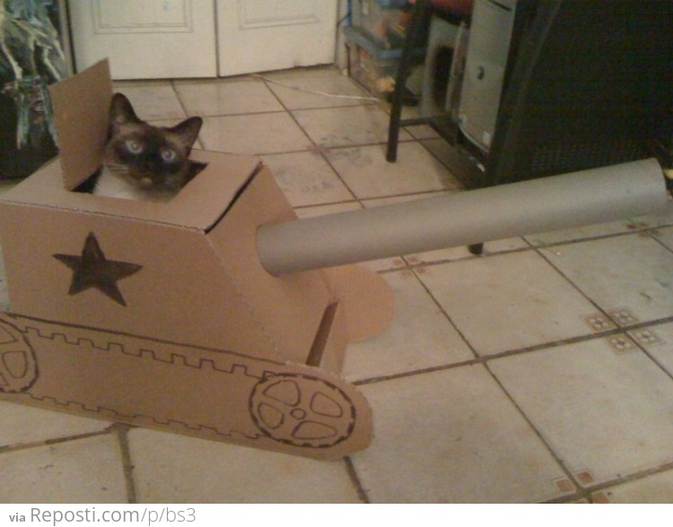 Cat Tank