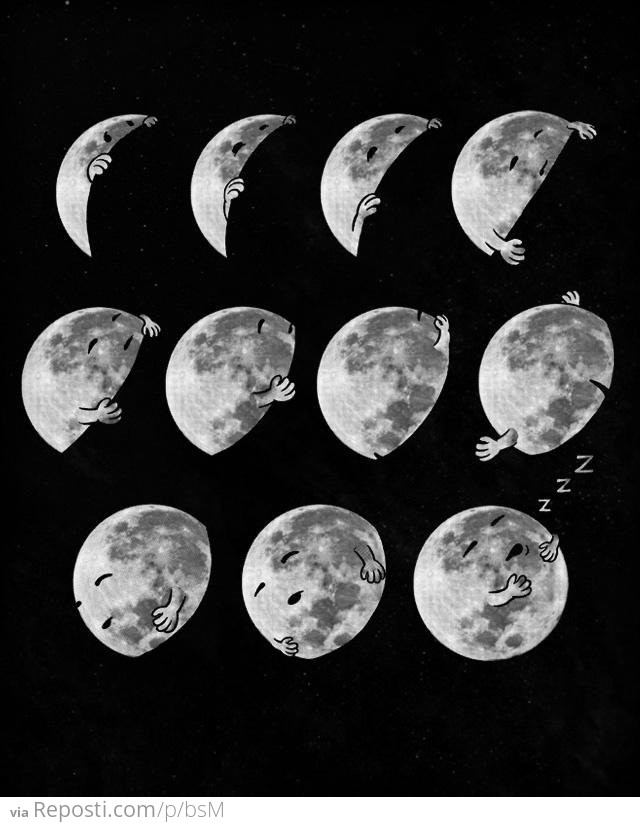 Moon Sleep Phases