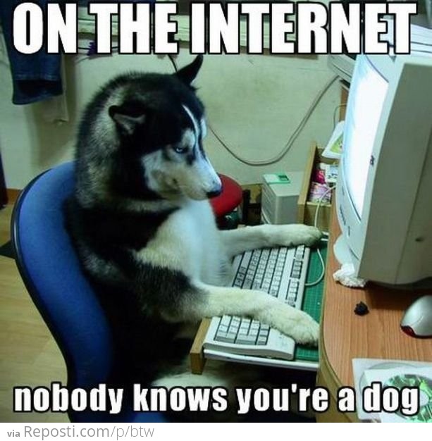 On the internet, nobody knows you're dog