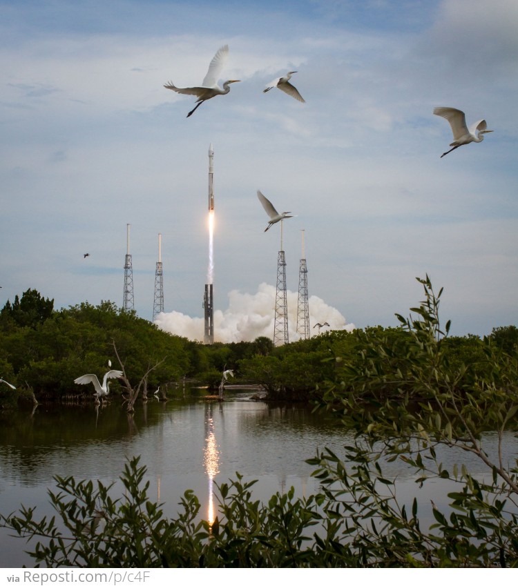 NASA's MAVEN Launch