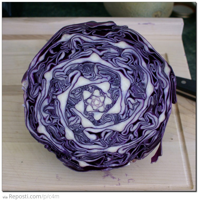 Natural Geometry in Cabbage