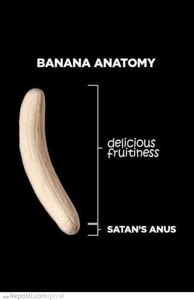 Anatomy of a Banana