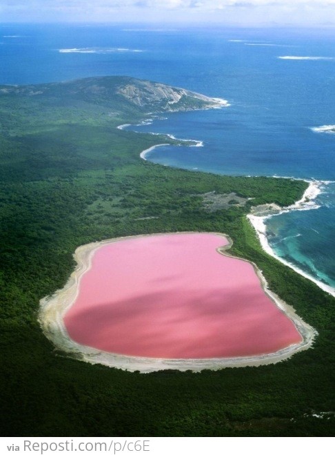 Pink Lake in Western Australia