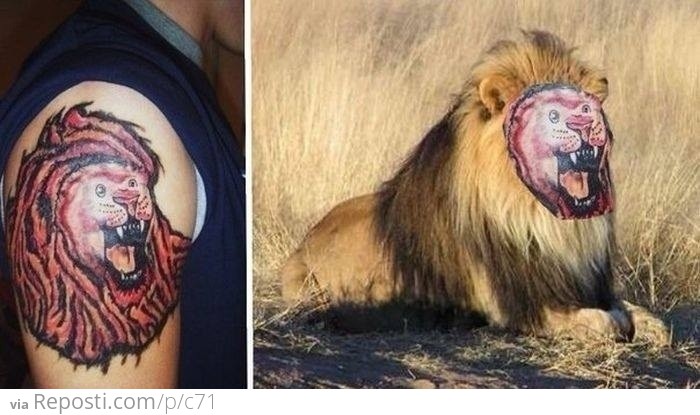 Amazing Lion Tattoo