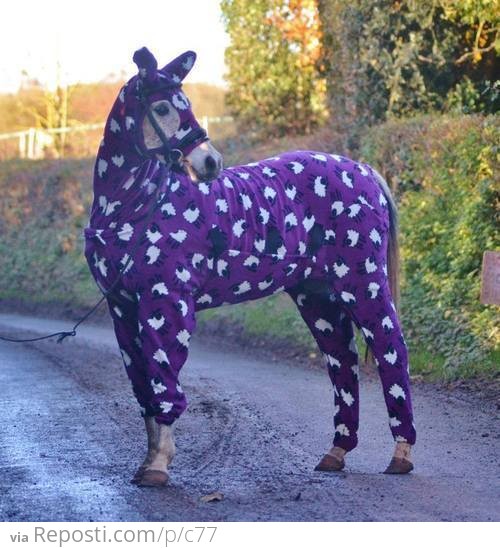 Just a horse in pajamas.