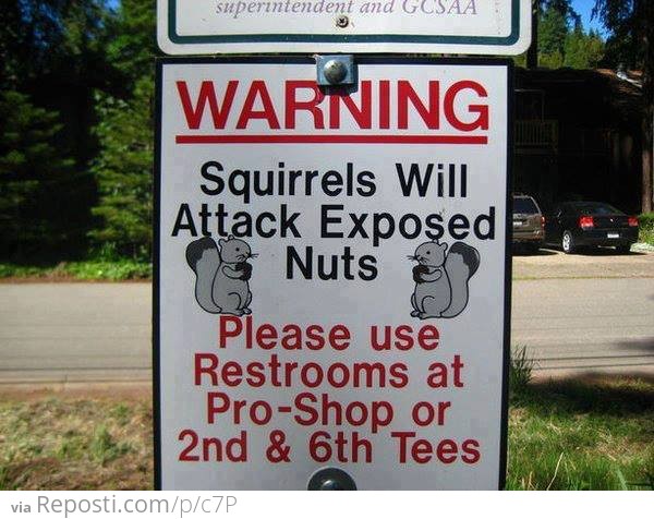 Warning: Squirrels Will Attack Exposed Nuts