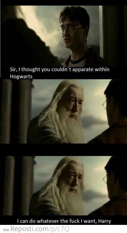 Dumbledore Lays It Down