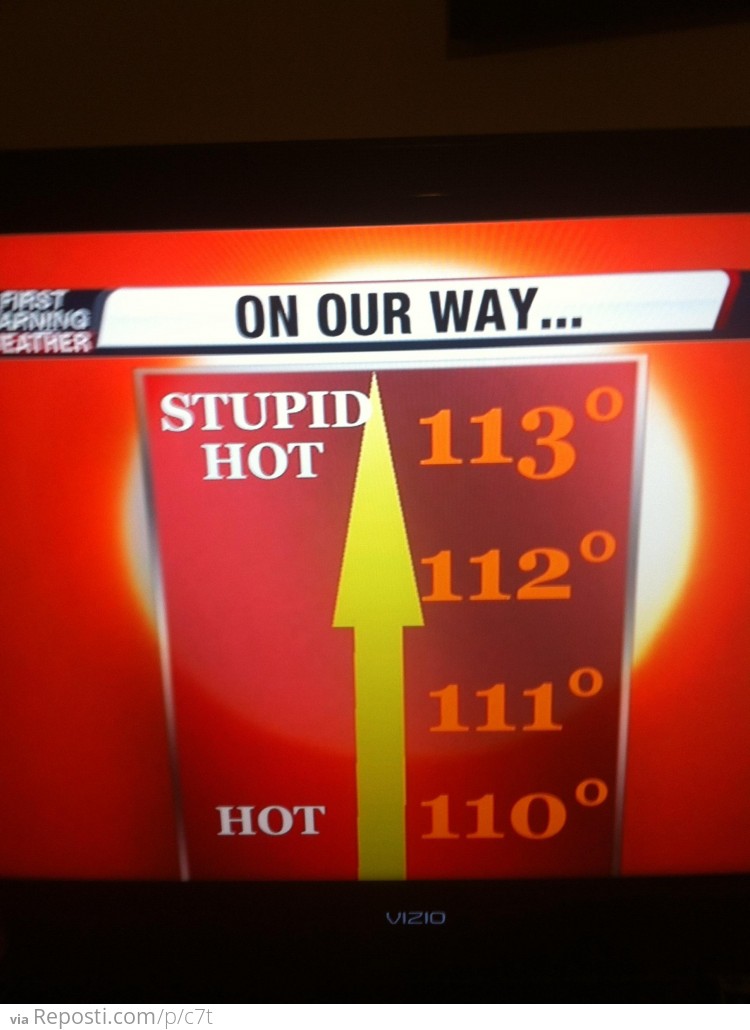 Stupid Hot