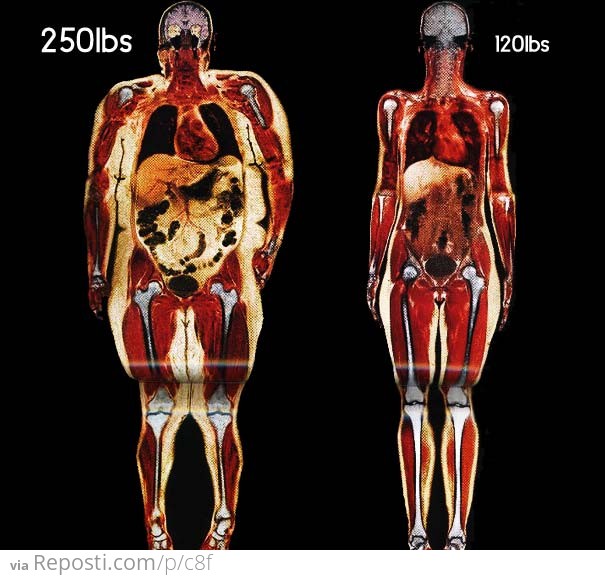 250lbs vs 120lbs