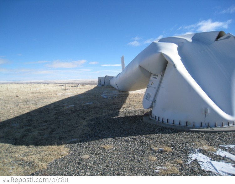 Wyoming Winds