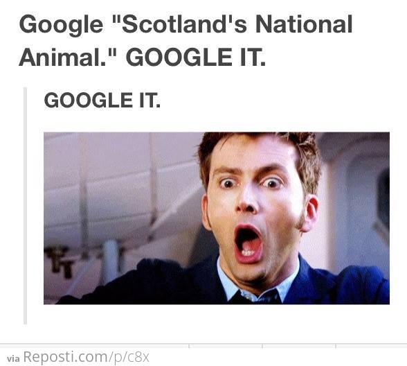 Scotland's National Animal - Google It!