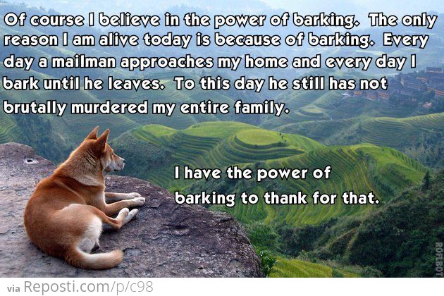 The Power of Barking