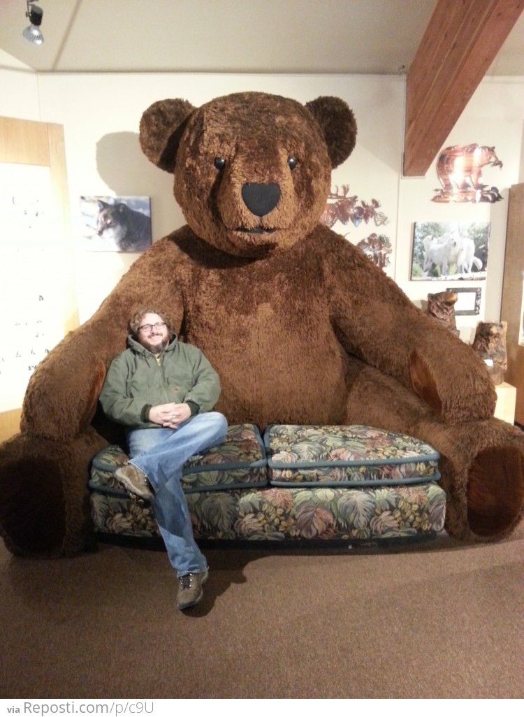 Bear Couch