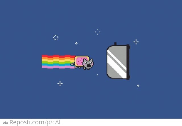 Nyan cat: the end