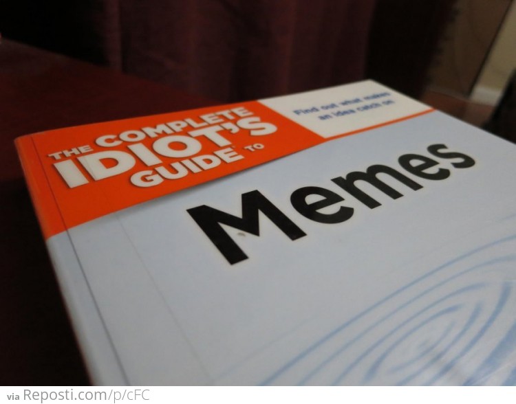 Idiots Guide To Memes