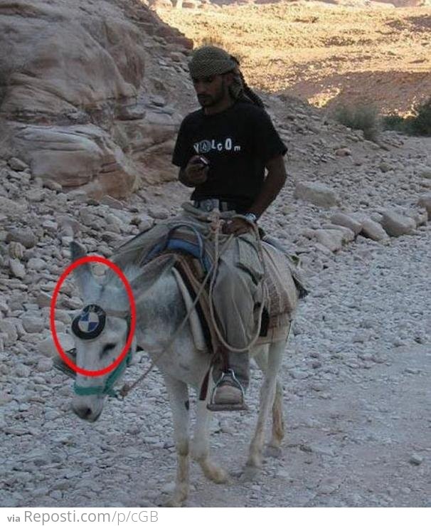 BMW Donkey