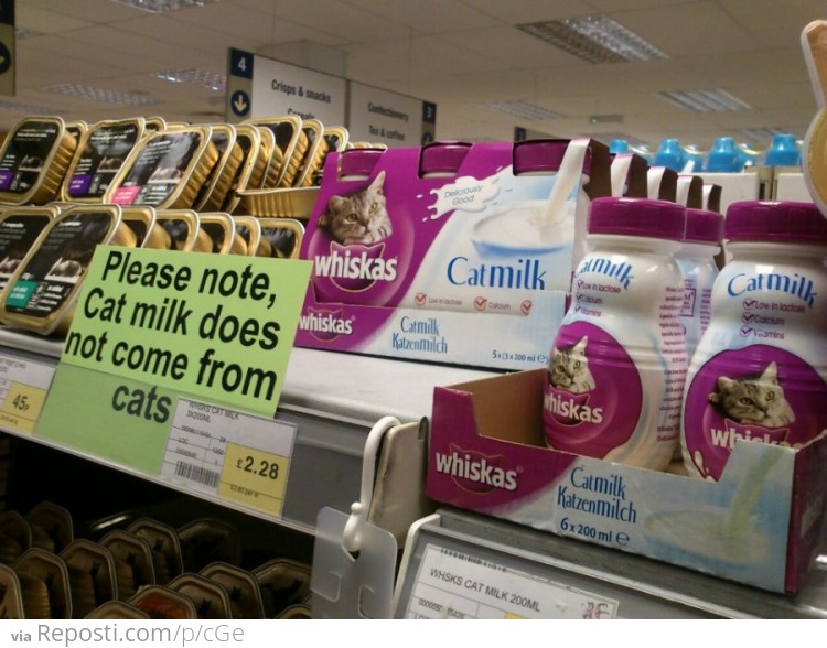 Cats Milk