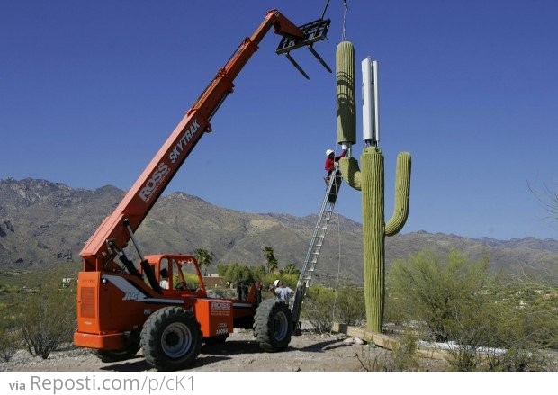 How to hide a cell phone tower in Arizona