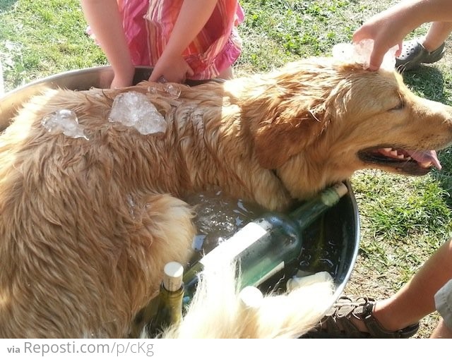 Cooling Off A Hot Dog