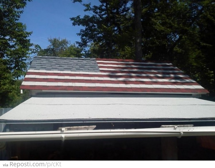 My uncle asked my brother to re-roof the shed.