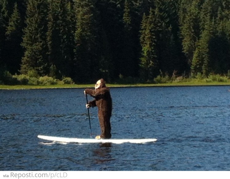 I found Sasquatch... on a paddle board?