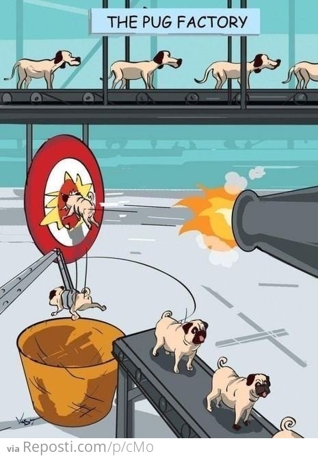 The Pug Factory